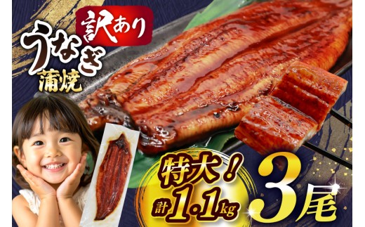 うなぎ 蒲焼 特大サイズ 肉厚 約 1.1
