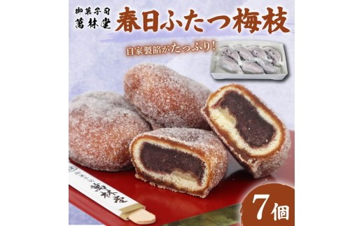 春日ふたつ梅枝