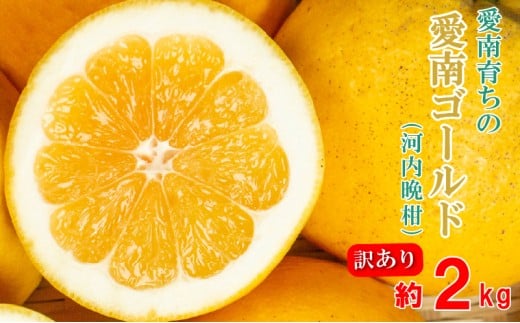 先行予約 訳あり 愛南ゴールド 2kg 5000円 みかん かわちばんかん わけあり ミカン mikan 愛南ゴールド あいなん ゴールド 家庭用 少量 お試し 文旦 グレープフルーツ 和製 家庭用 産地直送 国産 農家直送 期間限定 数量限定 先行 受付 事前 予約 ビタミン 特産品 ゼリー ジュース 人気 限定 さわやか 甘い フルーツ 果物 柑橘 蜜柑 規格外 青果市場 愛南町 愛媛県