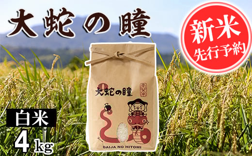 [令和7年産]大蛇の瞳 白米 4kg 精米 熊本県 南関町産 単一原料米 コシヒカリ 産地直送 コメ お米 ごはん