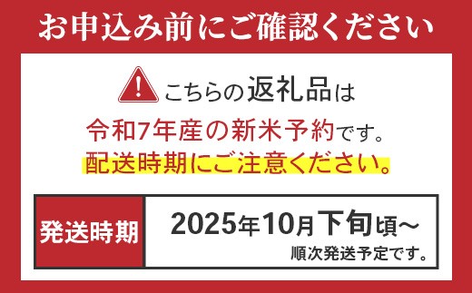 アイテムID:460217の画像2枚目