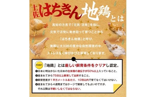 高知県大川村のふるさと納税 サラダはちきん 750g（150g×5個） サラダチキン 土佐はちきん地鶏 地鶏 ぢどり じどり 鶏肉 とり肉 チキン蒸し鶏 むね肉 胸肉 国産 高知県産 惣菜 レトルト 調理済み インスタント 高知県 大川村 F6R-036