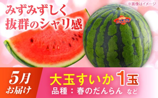 アイテムID:374186の画像3枚目