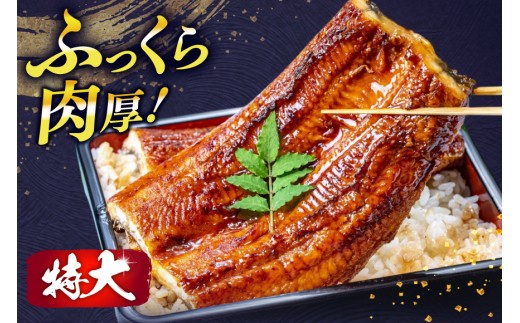 福岡県宇美町のふるさと納税 うなぎ 蒲焼 特大サイズ 肉厚 約 1.1kg 3尾 タレ・山椒付 茶葉蒸し [大黒物産 福岡県 宇美町 um40bak830001] 鰻 ウナギ 小分け うなぎ蒲焼 鰻蒲焼き 訳あり 蒲焼き かば焼き 茶葉蒸しうなぎ 真空パック 個包装 冷凍 unagi