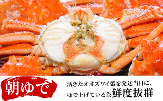北海道千歳市のふるさと納税 北海道産【 朝ゆで 】訳ありオオズワイガニ 1.0kg詰 ＜かにのマルマサ＞道産品 オオズワイ ズワイガニ ずわい蟹 カニ 蟹 規格外品 不揃い 訳アリ 訳有り