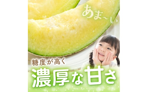 メロン農家直送　　訳あり7玉入り　　糖度は十分あります item1906.jpg
