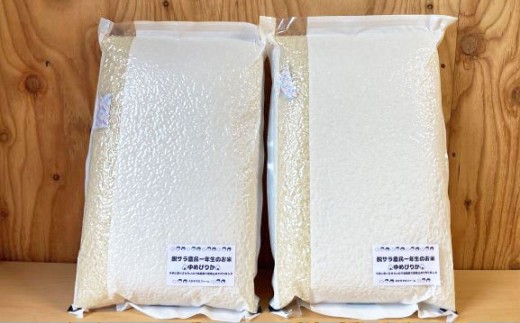 【令和7年産】 ゆめぴりか （無洗米） 真空パック 5kg×2袋 10kg