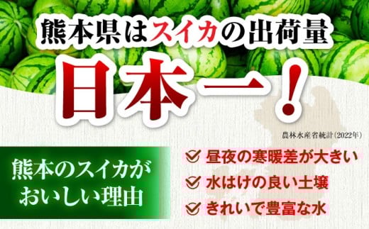 アイテムID:374186の画像5枚目