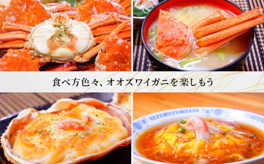 北海道千歳市のふるさと納税 北海道産【 朝ゆで 】訳ありオオズワイガニ 1.0kg詰 ＜かにのマルマサ＞道産品 オオズワイ ズワイガニ ずわい蟹 カニ 蟹 規格外品 不揃い 訳アリ 訳有り