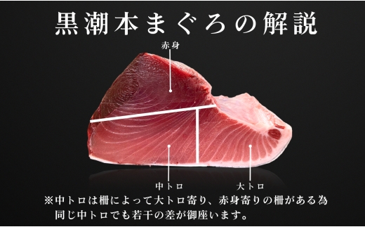 高知県大月町のふるさと納税 【高知県産 養殖本マグロ】中トロ・赤身900g 2種 黒潮本まぐろ｜刺身用 　最優秀賞受賞 日本一 本まぐろ まぐろ 鮪 トロ 小分け 個包装 丼 寿司 手巻き 柵 急速冷凍 解凍簡単 贈答 ギフト お祝い 年末年始 産地直送 高知県 大月町
