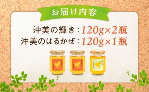 江田島産100％ はちみつ 2種食べ比べセット（120g×3本） ハチミツ 蜂蜜 国産 広島 江田島