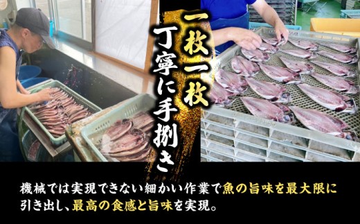 漁師町佐島 干物詰め合わせ5種 2人前セット キンメ鯛 アジ カマス イワシ イカ 干物セット 人気 干物 個包装