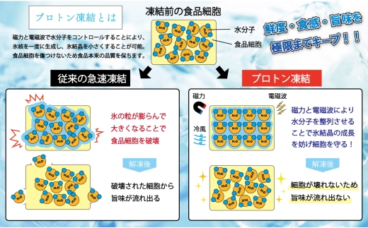 高知県大月町のふるさと納税 【訳アリ】養殖本マグロ 中トロ 1kg 黒潮本まぐろ｜不定貫 不揃い 刺身用 家庭用 最優秀賞受賞 日本一 配達日指定可 指定日配送可 本まぐろ まぐろ 鮪 小分け 個包装 丼 寿司 柵 急速冷凍 解凍簡単 産地直送 高知県 大月町