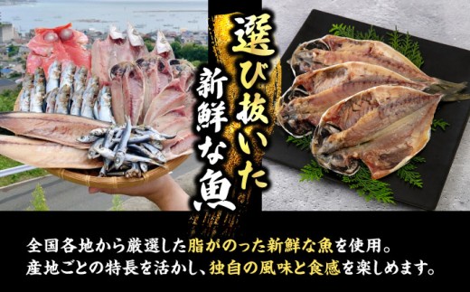 漁師町佐島 干物詰め合わせ5種 2人前セット キンメ鯛 アジ カマス イワシ イカ 干物セット 人気 干物 個包装