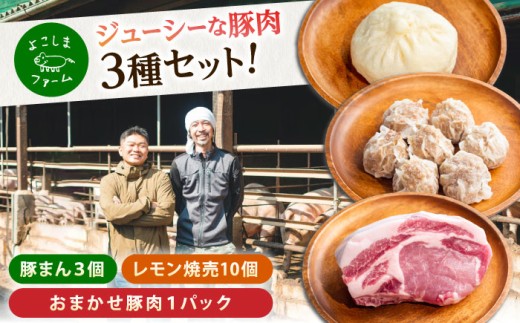 惣菜 豚まん・瀬戸田のレモン焼売・おまかせ豚肉セット 各1パック（180g〜280g） 惣菜 詰め合わせ 豚まん シュウマイ 産地直送 肉 お肉 にく 食品 ギフト セット 広島県福山市/株式会社横島ファーム [BABT001]