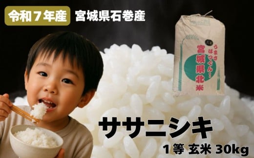 米 令和7年産 ササニシキ 玄米 30kg お米 ごはん ご飯 飯 30キロ 一等玄米 単一銘柄米 主食 家庭用 美味しい ブランド米 玄米食 あっさり 食感 甘味 健康食 食物繊維 ビタミン ヘルシー ささにしき おにぎり おかゆ 送料無料 宮城県 石巻 石巻市