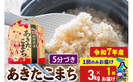 [新米] あきたこまち 3kg×1袋[5分づき]令和7年産 秋田県産 こまちライン