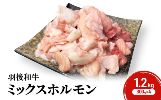 秋田県 羽後町産 羽後和牛 ミックスホルモン 1.2kg （300g×4）【 焼肉 ホルモン BBQ バーベキュー キャンプ 】 2266655 - 秋田県羽後町
