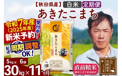 ※令和7年産 新米予約※《定期便11ヶ月》秋田県産 あきたこまち 30kg【白米】(5kg小分け袋)  2025年産 お届け時期選べる お届け周期調整可能 隔月に調整OK お米 みそらファーム