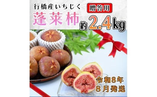 AO-026_【予約・令和８年夏発送】行橋産いちじく（蓬莱柿）贈答用　2箱 1856742 - 福岡県行橋市