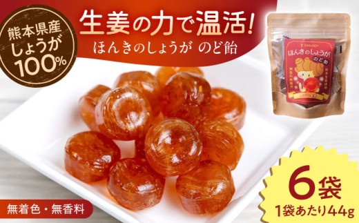 ほんきのしょうがのど飴 6袋セット【ジンジベル】 [AYAD015] 2244822 - 熊本県合志市