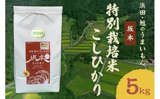 浜田・旭のうまいもん「坂本」特別栽培米こしひかり 5kg [118_1192]