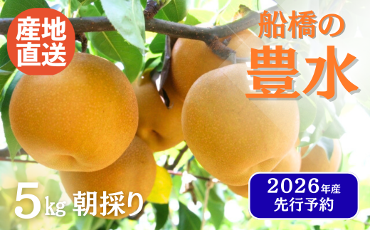 [2026年産]寄付額 改定 先行予約 梨 なし 船橋のなし 「豊水」い志い農園 千葉県 2026年発送 ※お届け日指定不可 い志い農園 予約 数量限定 船橋