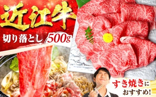 近江牛 すき焼き用 切落し 500g / 牛肉 和牛 国産牛 黒毛和牛 すき焼き用 切り落とし 近江牛 A5 すきやき しゃぶしゃぶ お祝い 贈答 すき焼き / 栗東市 / 元三フード株式会社[BIBH005]