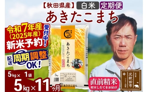 ※令和7年産 新米予約※《定期便11ヶ月》秋田県産 あきたこまち 5kg【白米】(5kg小分け袋) 2025年産 お届け時期選べる お届け周期調整可能 隔月に調整OK お米 みそらファーム