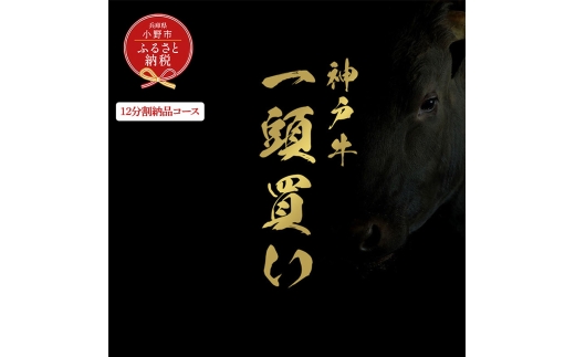 【和牛セレブ】神戸牛一頭分のセレブ体験（12分割納品コース）/ 神戸ビーフ BBQ 牛肉 冷凍 ブランド牛 兵庫県 小野市 2294244 - 兵庫県小野市