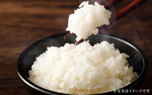 〈令和7年産〉 【はたなかさんち】 泉州産 ヒノヒカリ 5kg×1袋  【2025年11月上旬ー12月下旬発送予定】 お米 米 白米 ごはん 国産