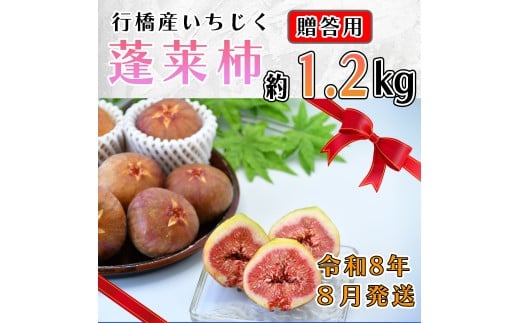 AO-025_【予約・令和８年夏発送】行橋産いちじく（蓬莱柿）贈答用　1箱 1856743 - 福岡県行橋市