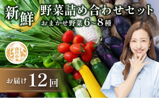 [№5334-0314]【定期便12回】新鮮 野菜 詰め合わせ セット