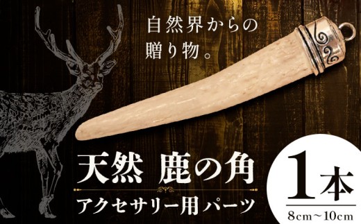 天然・鹿の角アクセサリー用パーツ 【配送不可地域あり】(離島) 一般財団法人さなごうち 《30日以内に出荷予定(土日祝除く)》│ ハンドメイド ハンドメイドパーツ DIY 一点物 天然 徳島県 佐那河内村 505715 - 徳島県佐那河内村