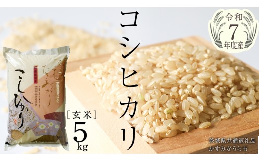 ＼ 新米10月出荷 /[令和7年産]コシヒカリ 玄米5kg(5kg×1袋)(茨城県共通返礼品 かすみがうら市産) [EX011sa-10]