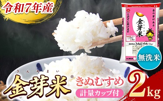 BG無洗米・金芽米きぬむすめ 2kg 計量カップ付き【令和7年産 お試し 節水 健康 ビタミン ミネラル つや お弁当 おいしい うまみ 甘み ふっくら 時短 簡単 少量 小袋 島根県 安来市】 295057 - 島根県安来市