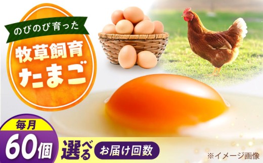 天心山　たまご60個　【回数が選べる定期便】卵 たまご 高級 食品 たまごかけご飯 卵かけご飯 卵焼き 生卵 濃厚 ケーキ お菓子 づくり ランキング 上位 人気 おすすめ 定期便　広島県福山市/天心山ファーム [BABW040]