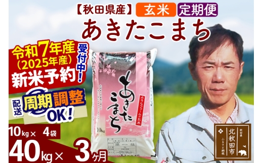 ※令和7年産 新米予約※《定期便3ヶ月》秋田県産 あきたこまち 40kg【玄米】(10kg袋) 2025年産 お届け時期選べる お届け周期調整可能 隔月に調整OK お米 みそらファーム