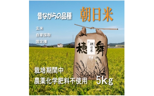 栽培期間中農薬・肥料不使用で作った朝日米　玄米5kg【1669225】