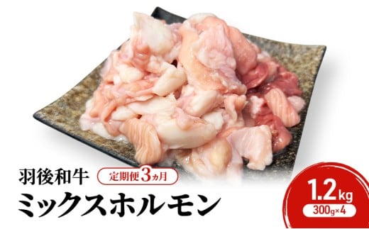 《 定期便 3ヵ月 》 秋田県 羽後町産 羽後和牛 ミックスホルモン 1.2kg （300g×4）【 焼肉 ホルモン BBQ バーベキュー キャンプ 】 2266662 - 秋田県羽後町