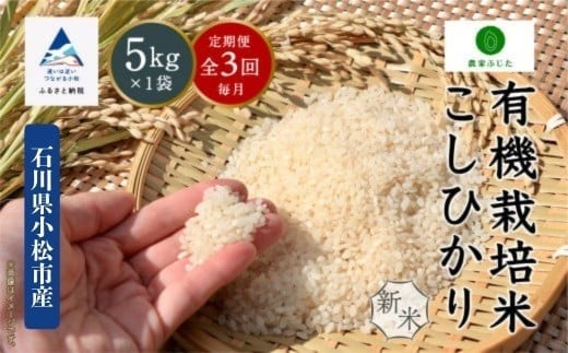 コシヒカリ【定期便】 5kg × 3回 有機栽培米 令和7年産 こしひかり 有機JAS認証 精米 （毎月） コメ お米 白米 【農家ふじた】