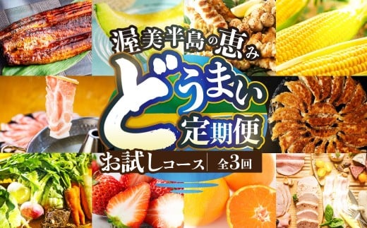 渥美半島の恵み どうまい 定期便 全3回 お試しコース （ うなぎ 豚肉 サーモン) 青うなぎ みかわポーク 渥美プレミアムラスサーモン ご当地 人気 頒布会
