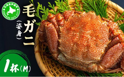 毛ガニ（姿身）Mサイズ 1尾 ogm-015 2289035 - 北海道伊達市