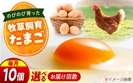 天心山　たまご10個　【回数が選べる定期便】卵 たまご 高級 食品 たまごかけご飯 卵かけご飯 卵焼き 生卵 濃厚 ケーキ お菓子 づくり ランキング 上位 人気 おすすめ 定期便　広島県福山市/天心山ファーム [BABW024]