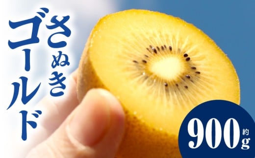 キウイ　鮮やか黄金に輝く　ゴールドキウイ 約900g  | 果物 フルーツ さぬきゴールド キウイ キウイフルーツ フレッシュ ジューシー 香り 爽やか 旬の果物 人気 おすすめ 贈答 贈り物 青果物 糖度 香川県 三木町 |_mk165-016 2296950 - 香川県三木町