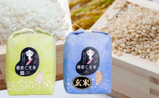備前乙女米 白米2kg×1袋・玄米2kg×1袋 合計4kg 米 お米 白米 玄米 コメ 特A 精米 岡山県 倉敷市[2025年10月下旬-2026年9月下旬発送予定]