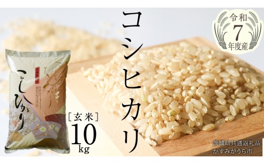 ＼ 新米10月出荷 ／【令和7年産】コシヒカリ 玄米10kg（10kg×1袋）（茨城県共通返礼品 かすみがうら市産） [EX012sa-10]