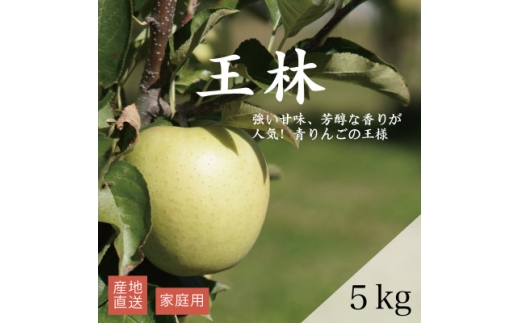＜産地直送＞「王林」りんご　家庭用　5kg(12～20個)【1667204】