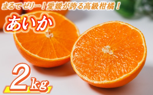 【数量限定】 高級 みかん あいか 2kg ＜11月中旬〜発送＞ 愛果28号 愛媛果試第28号 紅まどんな と同品種 まどんな 柑橘 柑橘類 産地直送 フルーツ 果物 くだもの 人気 おすすめ 愛媛県 松山市