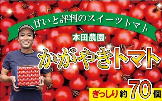 【人気のスイーツトマト】本田農園のかがやきトマト2箱（約70個）とまと 甘い 野菜 